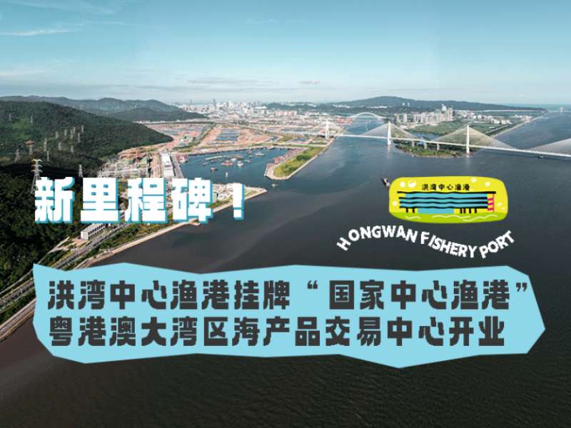 新里程碑！洪灣中心漁港掛牌“國(guó)家中心漁港”， 粵港澳大灣區(qū)海產(chǎn)品交易中心開業(yè)